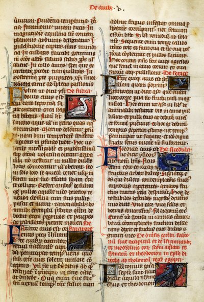 Oldal: Albertus Magnus (1200-1280 körül) A dolgok természete a madarakon alkotó: German School