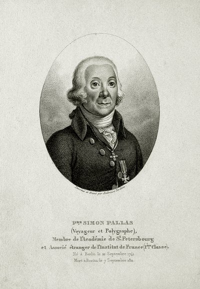 Pallas Péter Simon. (1741 – 1811) (Vonalas metszet) alkotó: German School