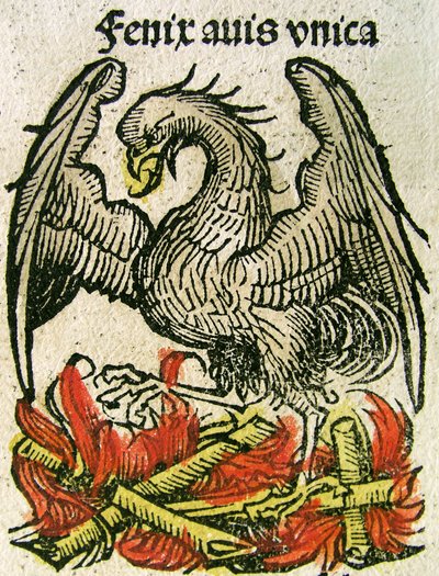 Phoenix megjelent a Nürnbergi Krónikában, 1493 alkotó: German School