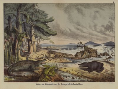 A triász időszak növényei és állatai Németországban (színes litho) alkotó: German School