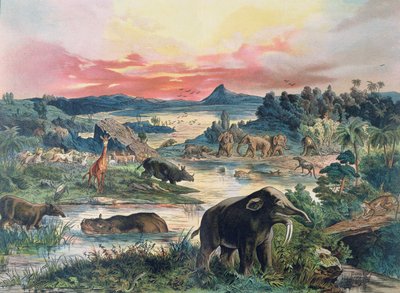 Őstörténet - harmadidőszak - Európa természeti környezetének rekonstrukciója és néhány korabeli állat, 1886 alkotó: German School