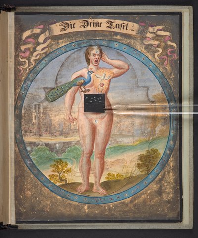 Tables representing man in three different states alkotó: German School