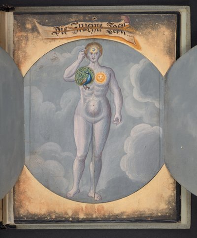 Tables representing man in three different states alkotó: German School