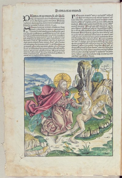 Éva születése, Hartmann Schedel (1440-1514) „Liber Chronicarum” című művéből, 1493 (színes fametszet) alkotó: German School