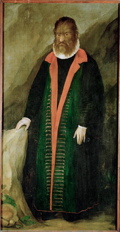 A szőrös ember, Petrus Gonzalvus, született 1556-ban Teneriffán ... alkotó: German School