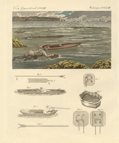 Vízimadarak vadászata Anglia partjain (színes metszet) alkotó: German School