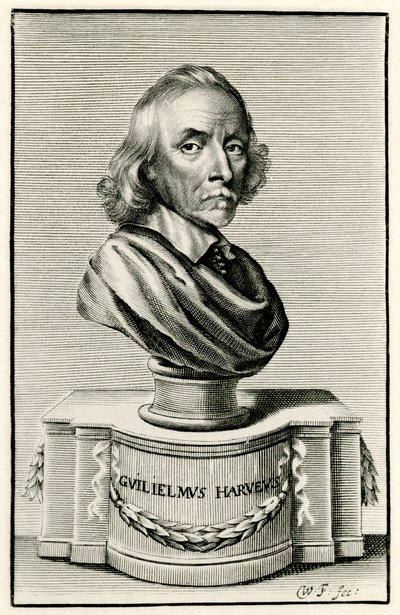 William Harvey alkotó: German School