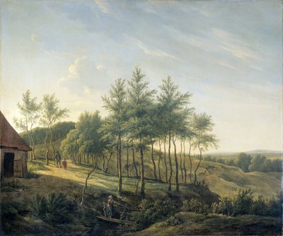 Dombos táj alkotó: Gerrit Jan Michaelis