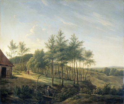 Dombos táj alkotó: Gerrit Jan Michaëlis