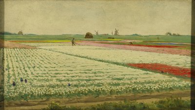 Tulipán mezők alkotó: Gerrit Willem Dijsselhof