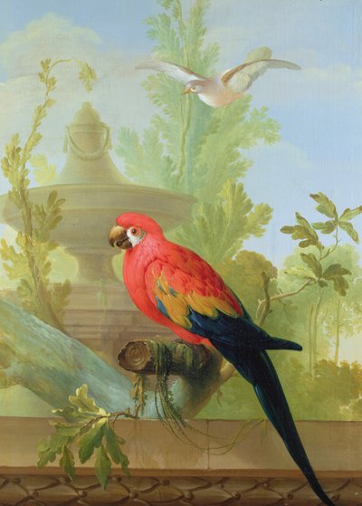 Egy ara és egy galamb díszkertben, 1772 alkotó: Gerrit van den Heuvel