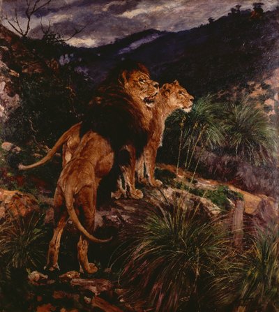 Lions Stalking (olaj, vászon) alkotó: Geza Vastagh