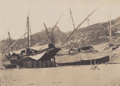 Salerno alkotó: Giacomo Caneva