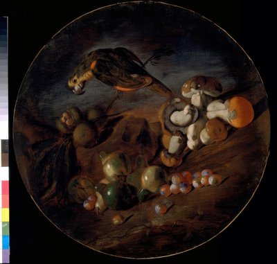 Csendélet gombával, gyümölcsökkel és papagájjal alkotó: Giacomo Fardella de Calvello