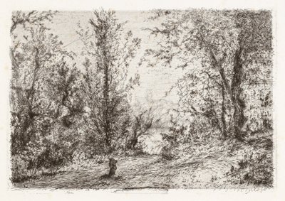 Erdő a Lago Maggiore-on [Erdő a Maggiore-tónál] alkotó: Giberto Borromeo
