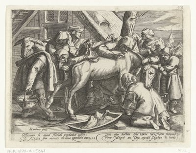 A szamár mosása alkotó: Gillis van Breen