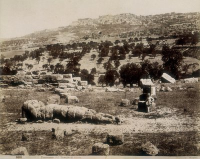 Agrigento: kilátás a Jupiter-templom romjaira alkotó: Giorgio Sommer