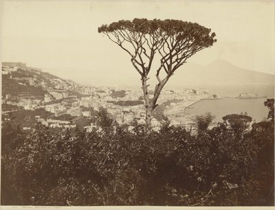 Nápoly, panoráma a Vomeróról alkotó: Giorgio Sommer