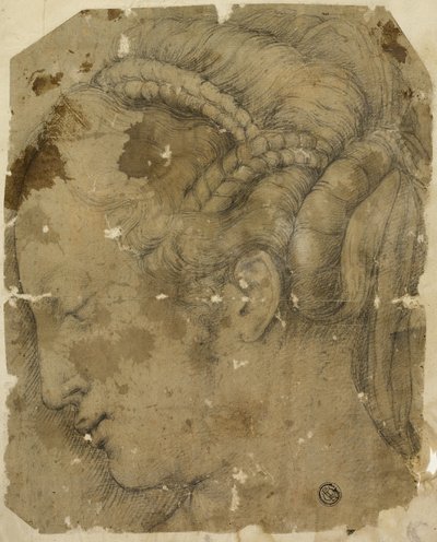 Női fej a profilban balra alkotó: Giorgio Vasari