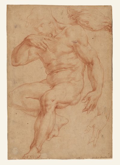 Studien eines männlichen Aktes, eines Gewandes und einer Hand alkotó: Giorgio Vasari