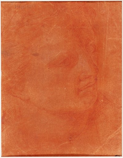 Fej háromnegyedes profilban (recto); Álló, balra mutató fiatalember és láb- és karvázlatok (fordítva) alkotó: Giorgione