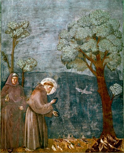 Assisi Szent Ferenc (San Francesco) életének epizódja: „A madarak predikációja”” Giotto (Ambrogio di Bondone) freskója alkotó: Giotto (c.1266 1337)