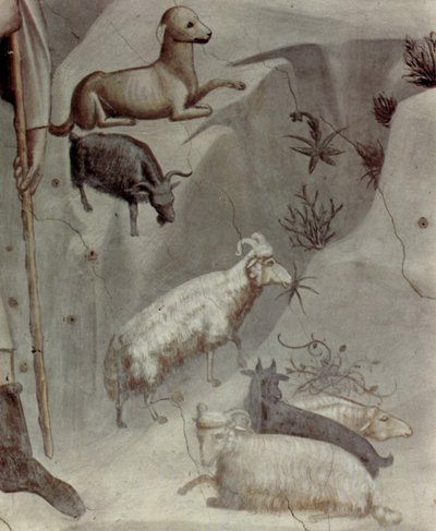 Jelenetek Joachim életéből: 5. Joachim álma

 (részlet) alkotó: Giotto
