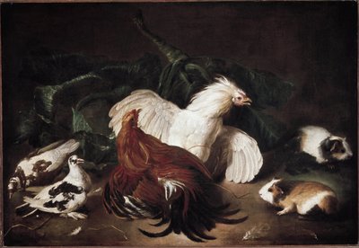 Csendélet állatokkal Tyúkok és hörcsögök (olaj, vászon alkotó: Giovanni Agostino Cassana