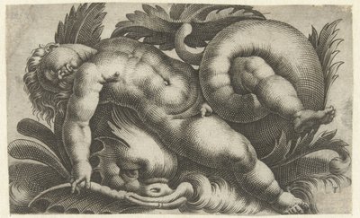Alvó puttó delfinen Putti a tengeri lényeken (sorozat címe) alkotó: Giovanni Andrea Maglioli