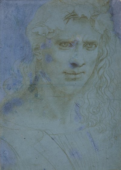 Tövisekkel és szőlőhajtásokkal koronás fiatal mellszobra, c. 1495 (fémhegy kék előkészített papíron) alkotó: Giovanni Antonio Boltraffio