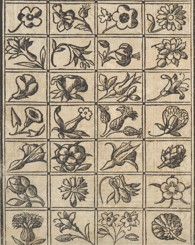 Példa a recammira, 10. oldal, 1530. oldal. alkotó: Giovanni Antonio Tagliente