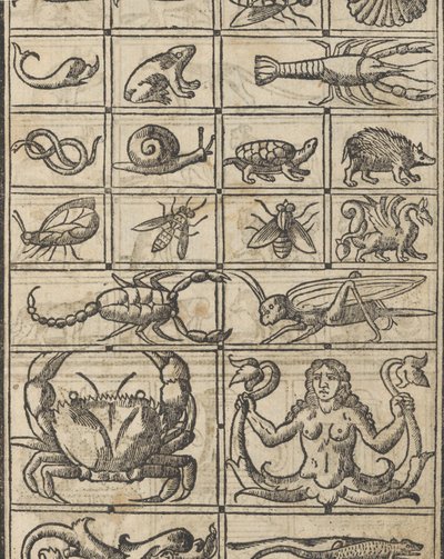 Recammi példa, 11. oldal recto, 1530. alkotó: Giovanni Antonio Tagliente