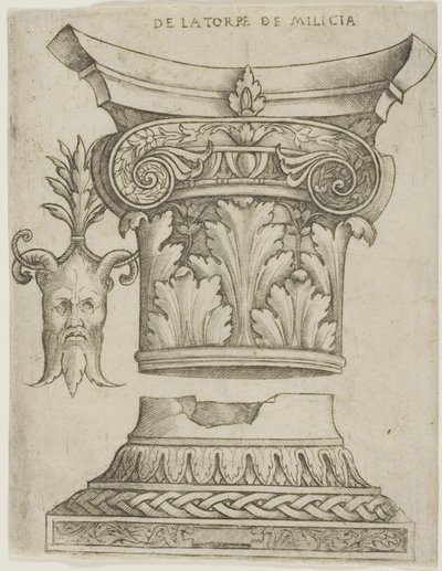 Építészeti részletek: alap, tőke és maszk alkotó: Giovanni Antonio da Brescia