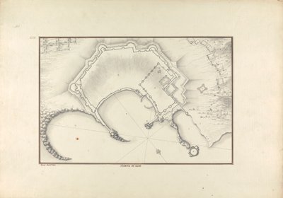 Rodoszi növény alkotó: Giovanni Battista Borra