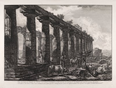 A Juno templom oldalnézete alkotó: Giovanni Battista Piranesi