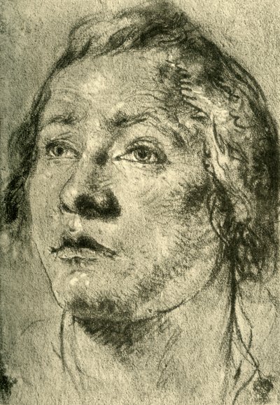 Egy fiatalember feje, 18. század közepe, 1928 alkotó: Giovanni Battista Tiepolo