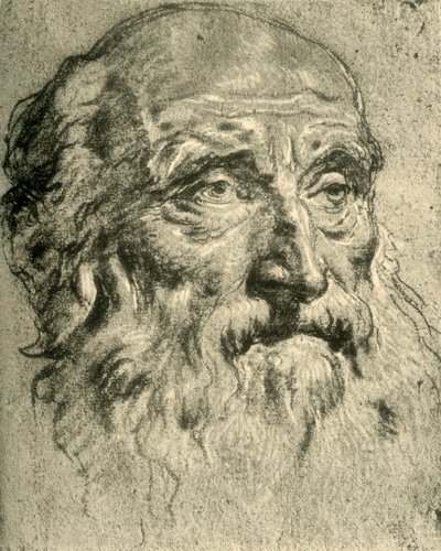 Egy öregember feje, 18. század közepe, 1928 alkotó: Giovanni Battista Tiepolo