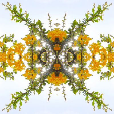 Természetellenes 175 (digitálisan manipulált fotó) alkotó: Giovanni Cafagna