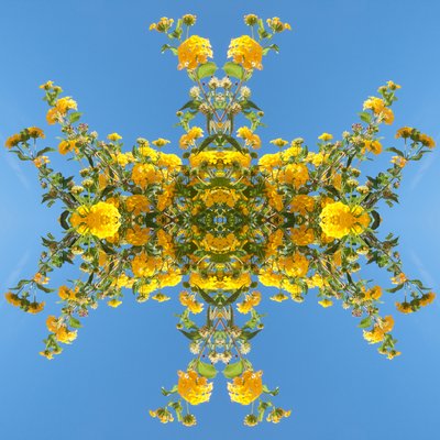 Természetellenes 193 (digitálisan manipulált fotó) alkotó: Giovanni Cafagna