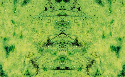 Természetellenes 3 (digitálisan manipulált fotó) alkotó: Giovanni Cafagna