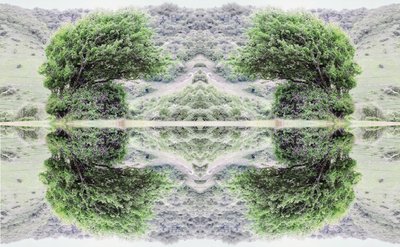 Természetellenes 40 (digitálisan manipulált fotó) alkotó: Giovanni Cafagna