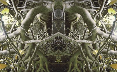 Természetellenes 41 (digitálisan manipulált fotó) alkotó: Giovanni Cafagna