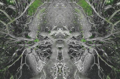 Természetellenes 42 (digitálisan manipulált fotó) alkotó: Giovanni Cafagna