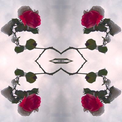 Természetellenes 80 (digitálisan manipulált fotó) alkotó: Giovanni Cafagna