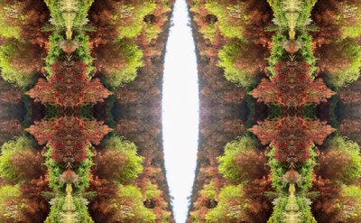 Unnatural 81 (digitálisan manipulált fotó) alkotó: Giovanni Cafagna