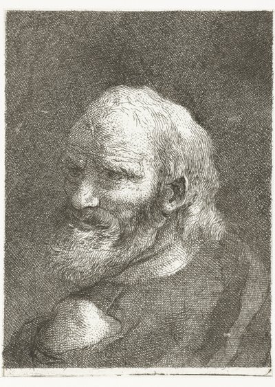 Férfi csupasz váll Fejgyűjtemény (sorozat címe) Raccolta di Teste (sorozat címe) alkotó: Giovanni Domenico Tiepolo