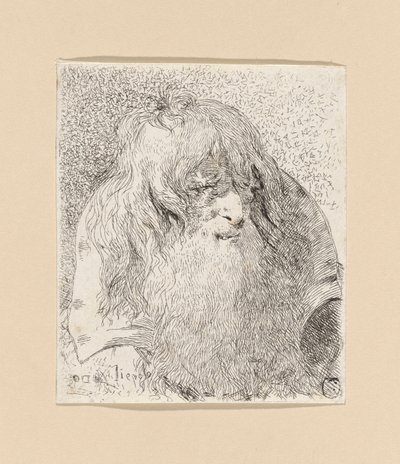 Szakállas és hosszú hajú öregember, a Raccolta di Teste-ből (Fejgyűjtemény) alkotó: Giovanni Domenico Tiepolo