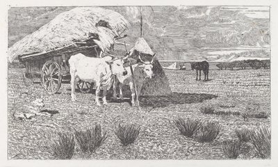 Szekér elé fogott ökrök (Maremma) alkotó: Giovanni Fattori