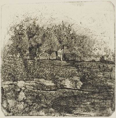 Fák a réten alkotó: Giovanni Fattori