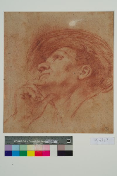 Tanulmány Aggeus próféta fejének (piros kréta papíron) alkotó: Giovanni Francesco Barbieri